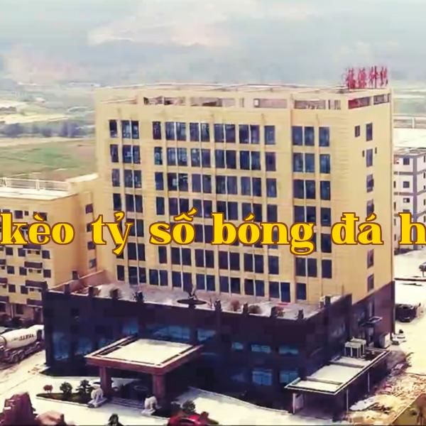 fuyuan